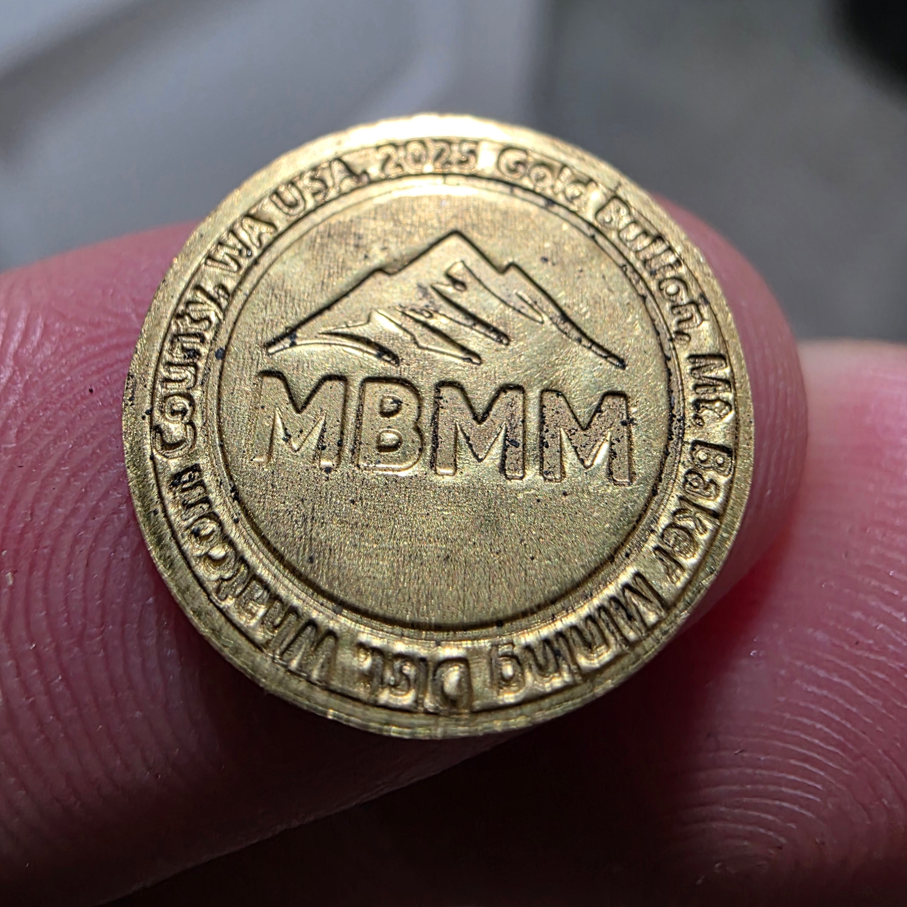 2025 Gold Coins Mined and Minted from Jason's New Gold Mine- 1 SINGLE COIN