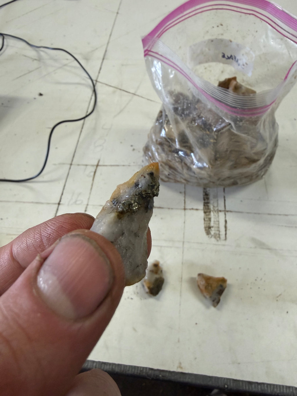 Golden Griffin Mine Crushed Ore: 1-Gallon Bag