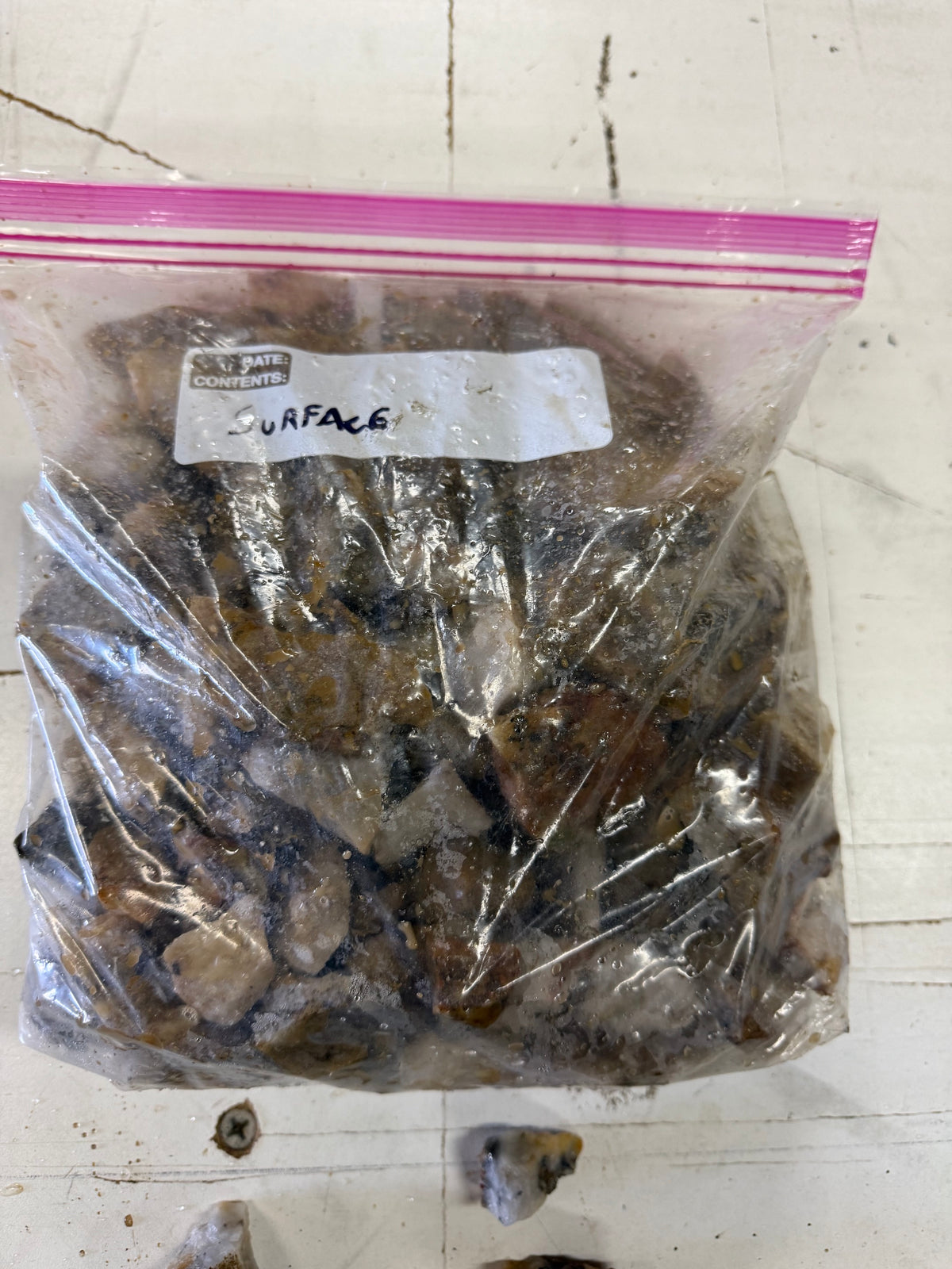Golden Griffin Mine Crushed Ore: 1-Gallon Bag